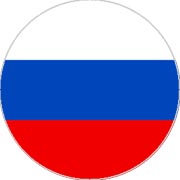 Пластина шунгитовая для телефона круглая \"Флаг России\" диаметр 20 мм