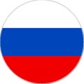 Пластина шунгитовая для телефона круглая "Флаг России" диаметр 20 мм