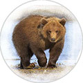 Пластина шунгитовая для телефона круглая "Медведь" диаметр 20 мм